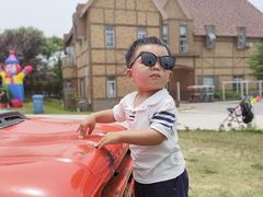 -大塘金香草谷