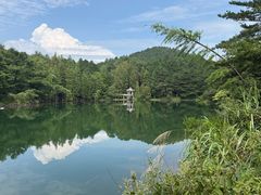 -四明山国家森林公园