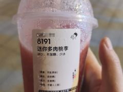 迷你多肉桃李-喜茶(上海北外滩来福士店)