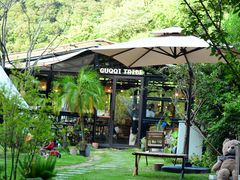 -北仑森林植物园