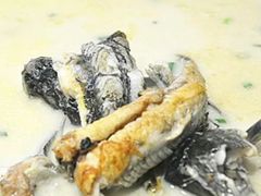 老虎鱼-鱼痴渔醉·食鲜集(月亮湾店)