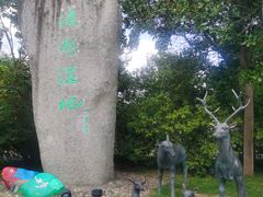 -溱湖国家湿地公园