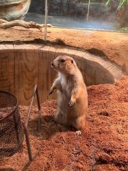 -Zoolung Zoolung动物主题公园(海信广场店)