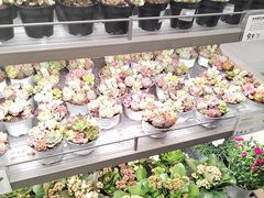 -鹿岛生活(熙地港店)
