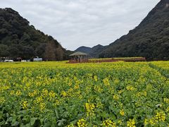-广州市石门国家森林公园