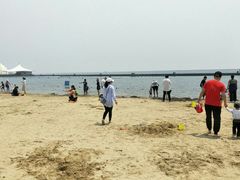 -碧海金沙