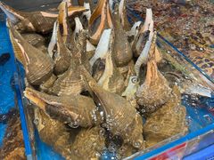 -吴记富苑(朝阳店)