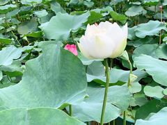 -龙环葡韵住宅式博物馆