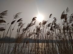 -大兴滨河森林公园