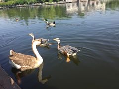iphone_upload_pic-杭州世外桃源君澜度假酒店