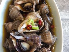 辣卤海螺-小平岛开海水饺(皇姑店)