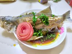 -田螺阿姨自营月嫂·育儿嫂(高新店)