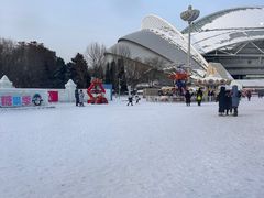 -沈阳奥体冰雪嘉年华