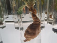 -北京中医药大学-中医药博物馆