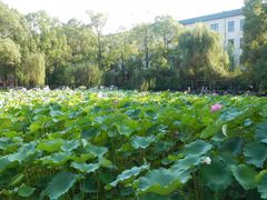 -四川大学(华西校区)