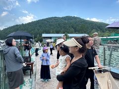 -横道河子东北虎林园