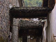 -莫干山风景区
