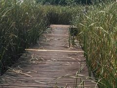 -梁鸿国家湿地公园