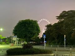 -宝安西湾红树林湿地公园