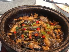 -船家渔(徐州北路店)