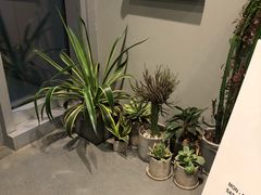 -dotcom coffee古点咖啡(致真大厦店)