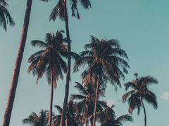 -阿酋湾水上乐园