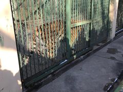 -合肥野生动物园