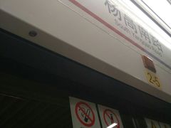 -杨高南路(地铁站)