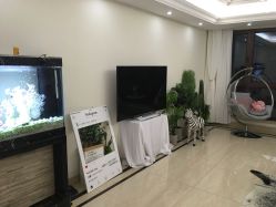 -VE专注问题肌·赛诺龙&科学美肤中心