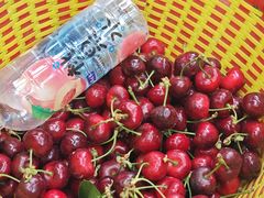-萝卜寨羌文化生态旅游区