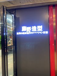 点击看大图 -藤野造型