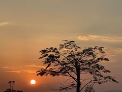 -华海酒店(茂名高铁站店)