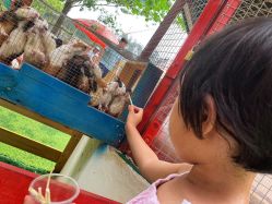 -萌宠亲子动物乐园(槐房万达店)