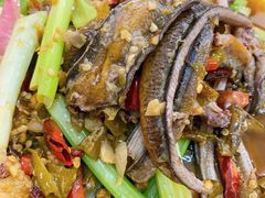 -春涛餐馆(下坝店)