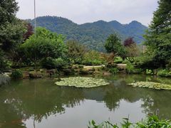 -中国茶叶博物馆(双峰馆区)
