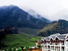 -余姚阳明温泉山庄