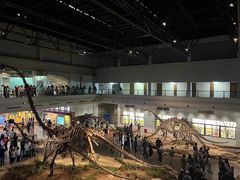 -自贡恐龙博物馆