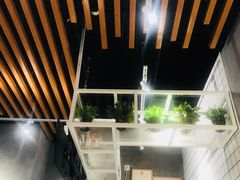 -素匠泰茶(三里屯SOHO工体奶茶店)