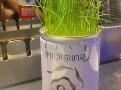 -很久以前羊肉串(清河店)