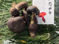 -滇野云南野生菌餐厅(陕西南路店)