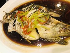 清蒸桂鱼-高第街56号港式餐厅(山大路店)