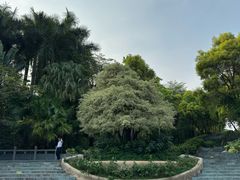 -深圳国际园林花卉博览园