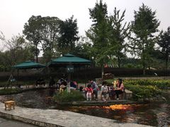 -成飞公园