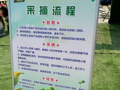 -小鱼草莓采摘园农家乐·小鱼餐厅