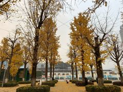 -两江幸福广场