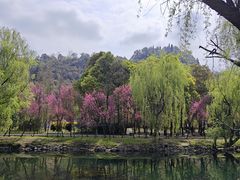 -贵阳市花溪国家城市湿地公园