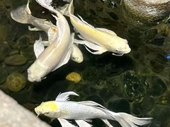 -味友·厦门味(集美店)
