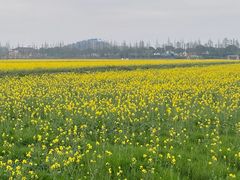 -南北湖风景区