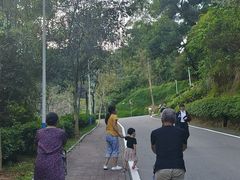 -火炉山森林公园