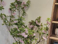 -墨宴(西洋湖店)